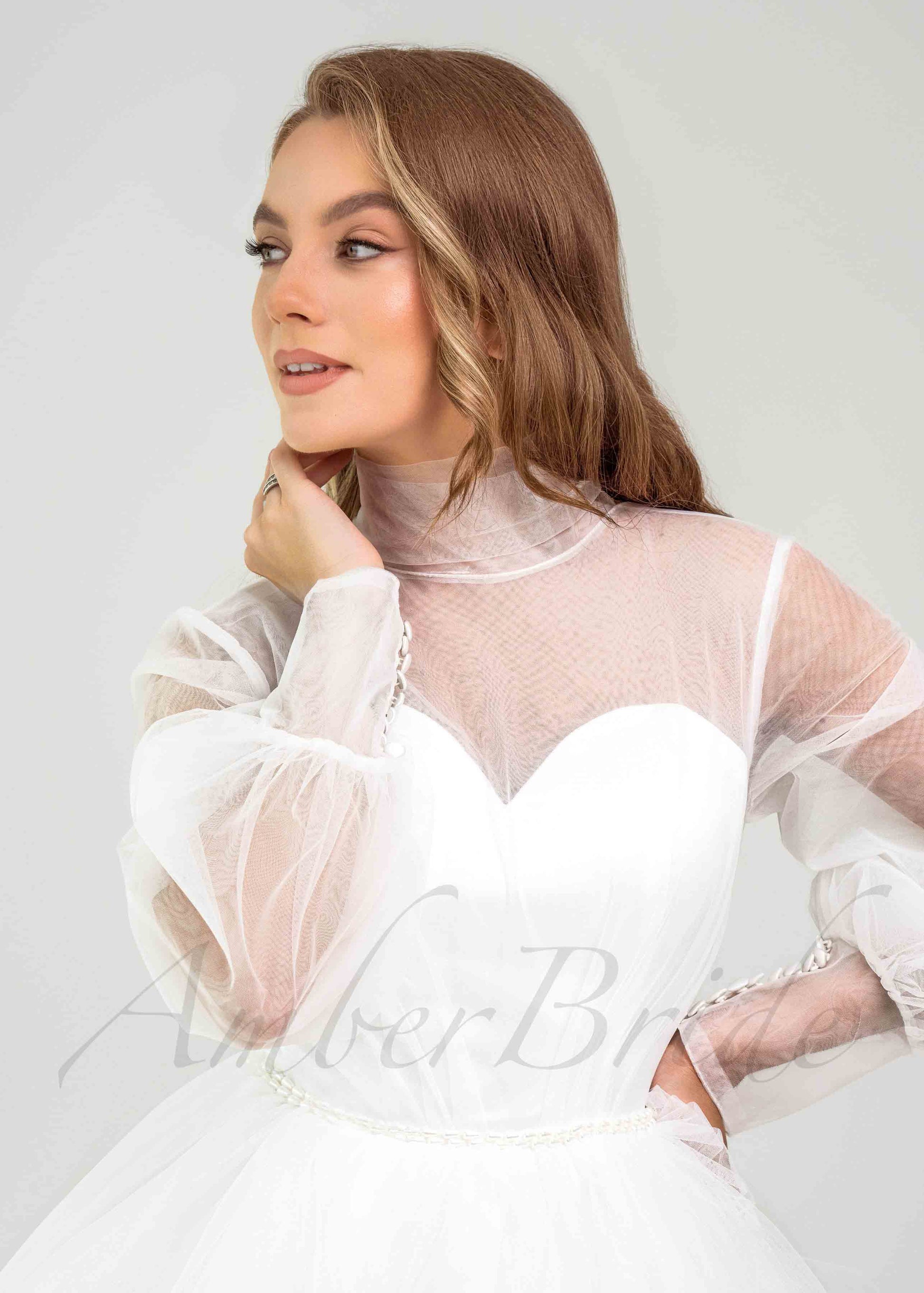 Elegant Knee Length Tulle Dress with Puffy Skirt and Long Sheer Sleeve